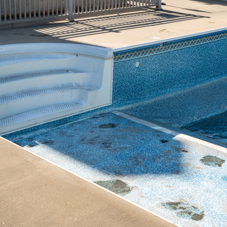 Fresh Pools and Spa